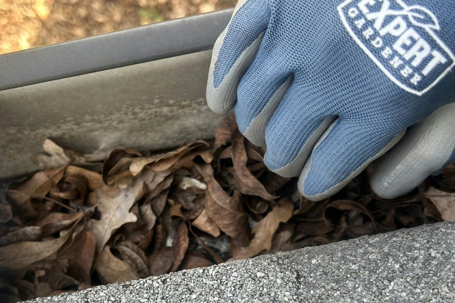 Gutter Cleaning Pineville