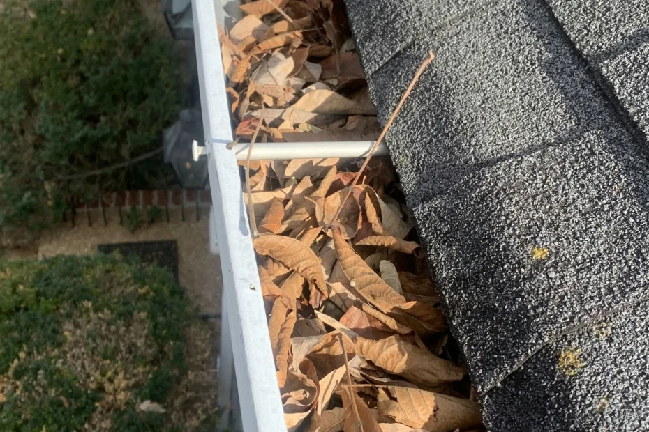 Gutter Cleaning Pineville